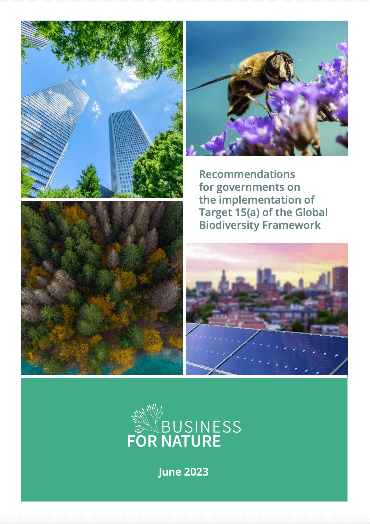 Recommendations for governments on the implementation of Target 15(a) of the Global Biodiversity Framework