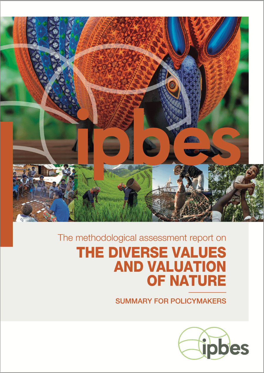 Methodological assessment regarding the diverse conceptualization of multiple values of nature and its benefits, including biodiversity and ecosystem functions and services