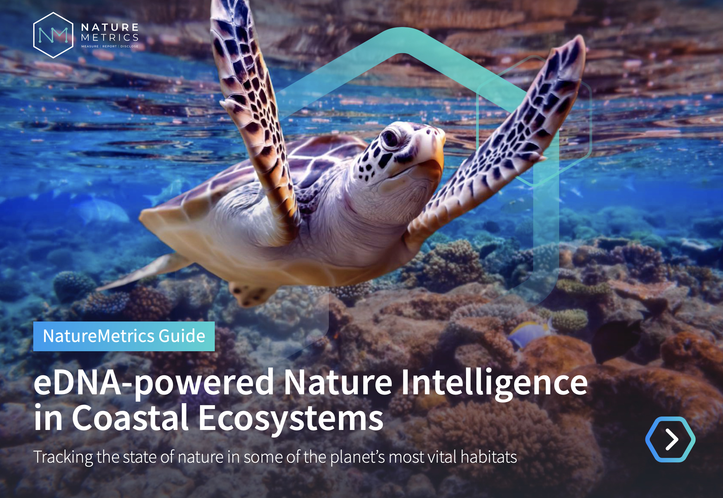 e-DNA powered Nature Intelligence in Coastal Ecosystems. Tracking the state of nature in some planet’s most vital habitats