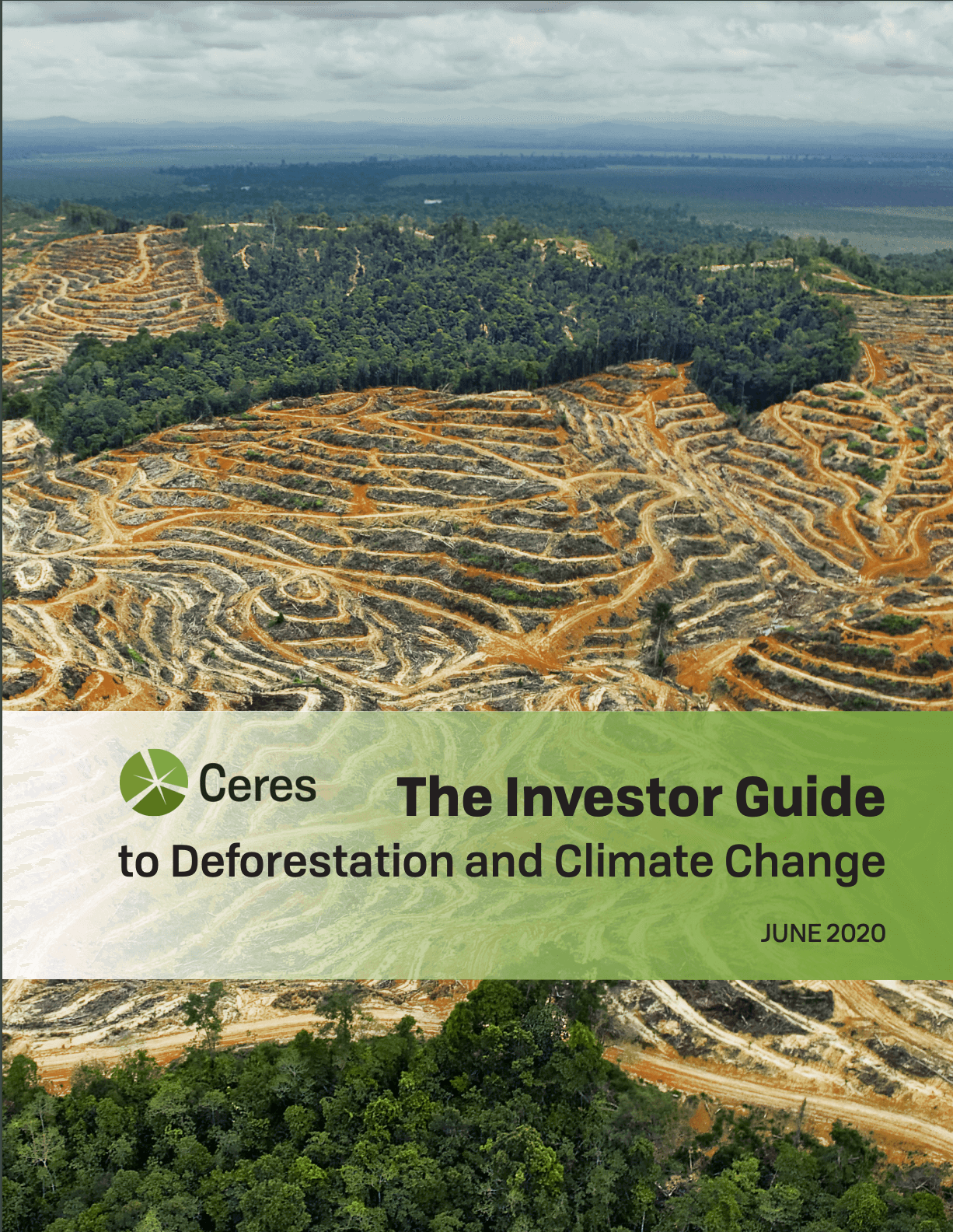 Investor Guide to Deforestation and Climate Change Investor Guide to Deforestation and Climate Change