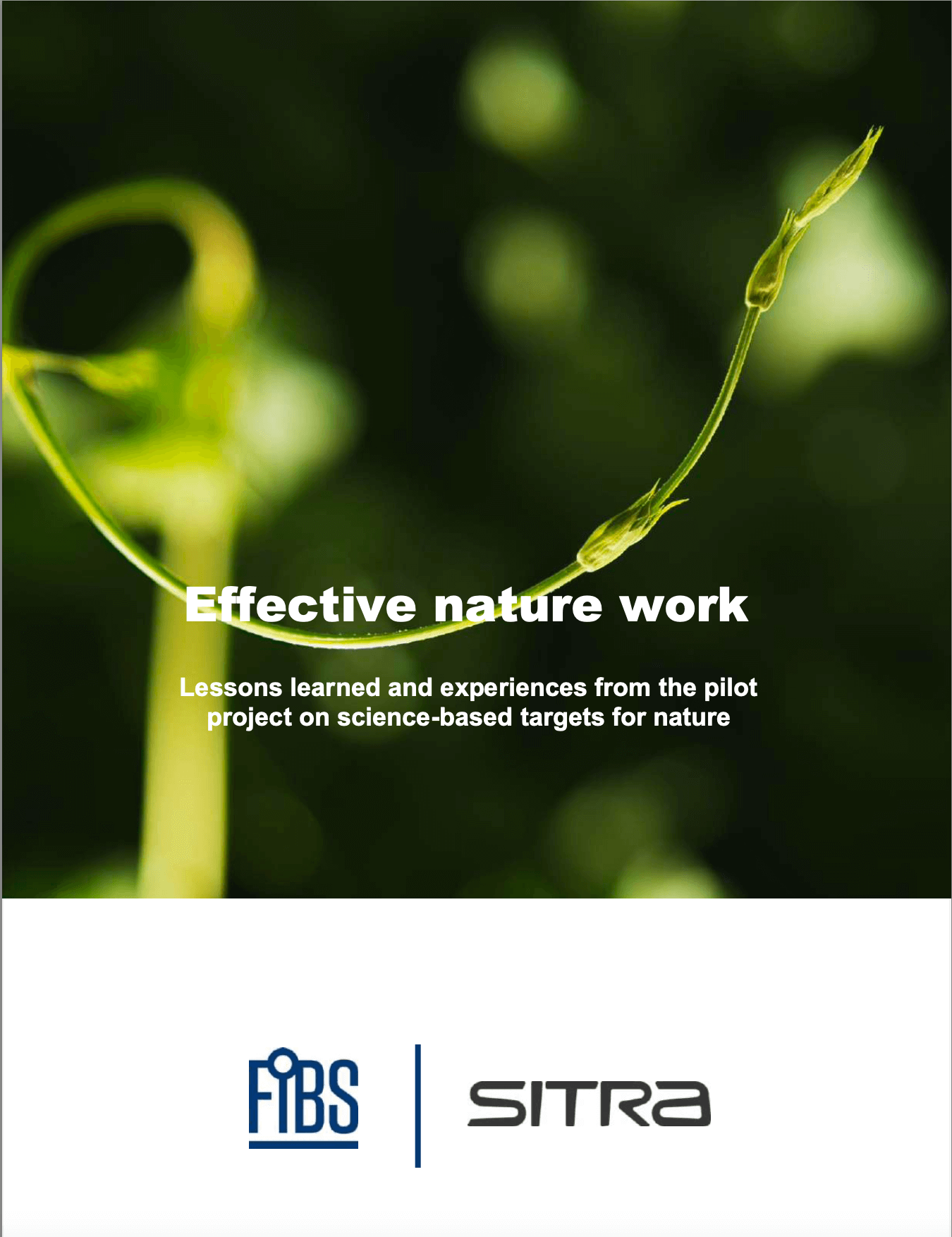 Effective Nature Work. Lessons learned and experiences from the pilot