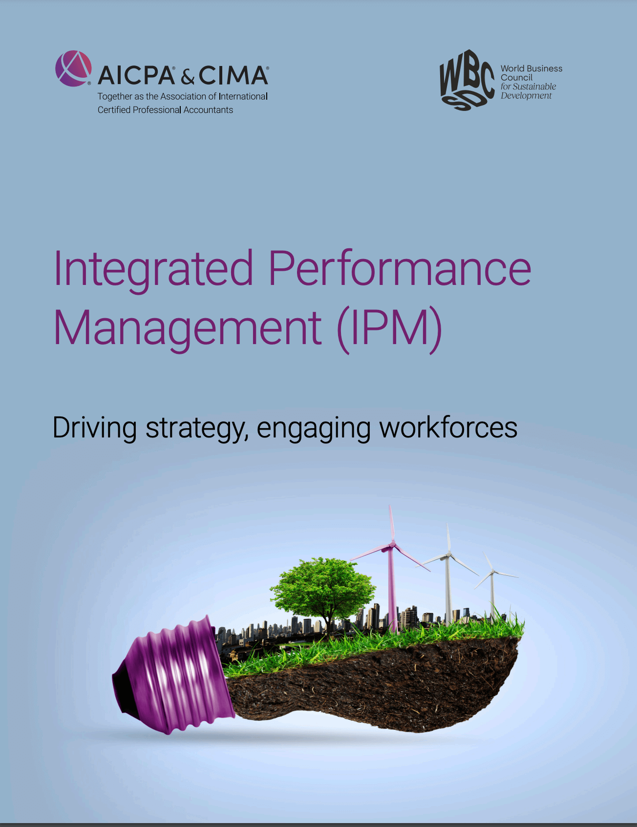 Integrated Performance Management Framework