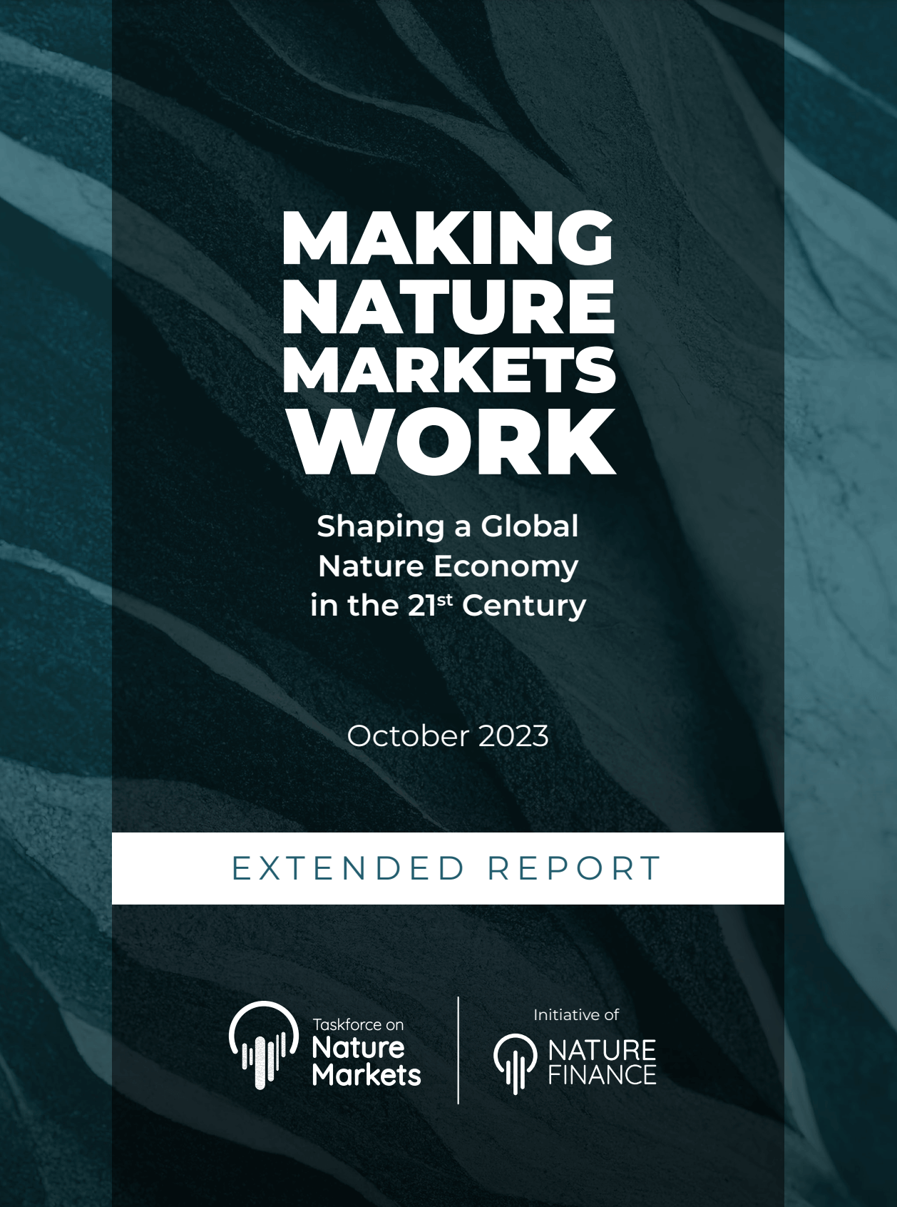 Making Nature Markets Work Extended Report. Shaping a Global Nature Economy in the 21st Century