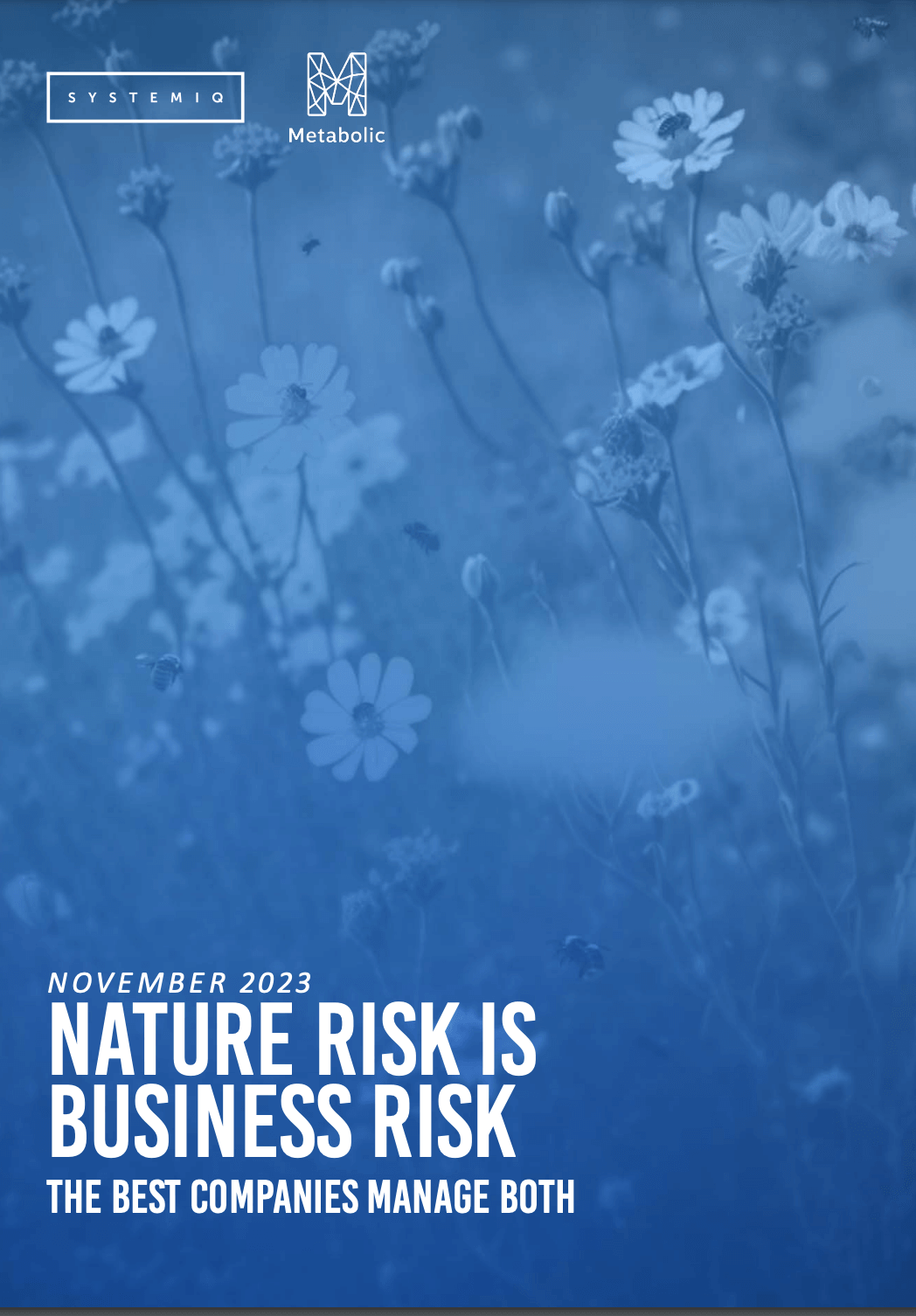 Nature risk is a business risk