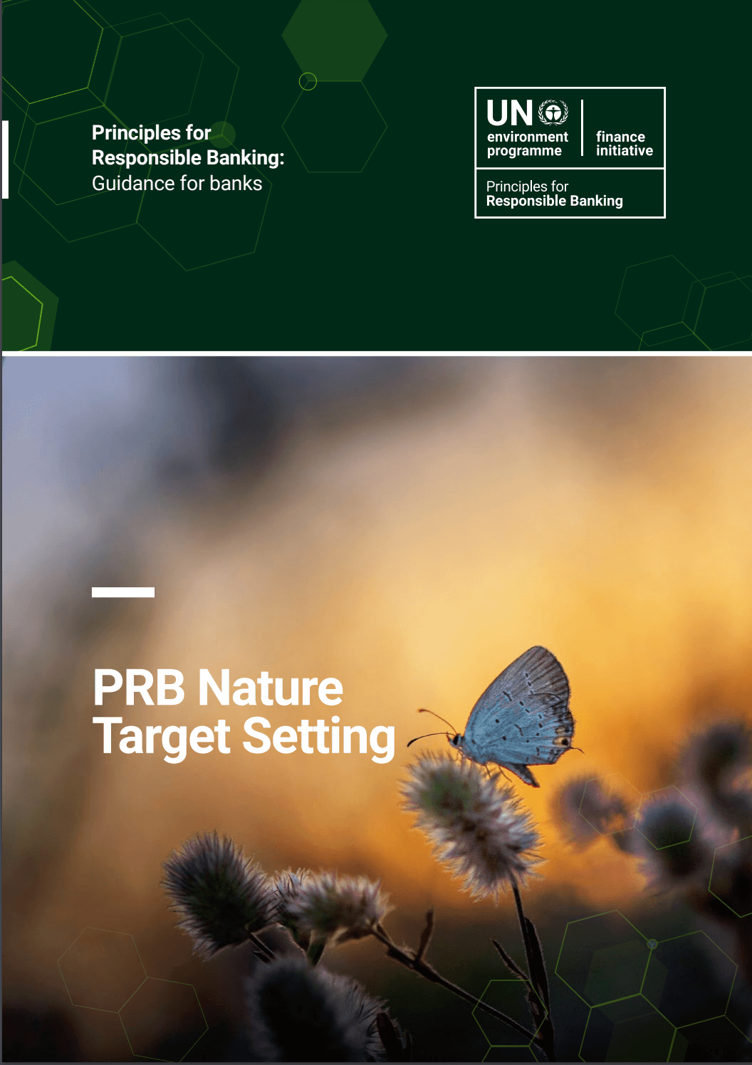 Principles for Responsible Banking: Guidance for banks. PRB Nature Target Setting Guidance