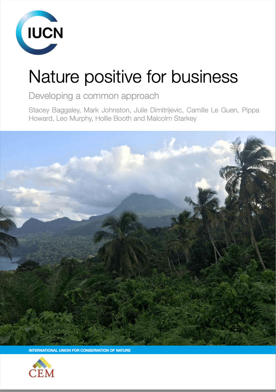 Nature Positive for Business. Developing a common approach