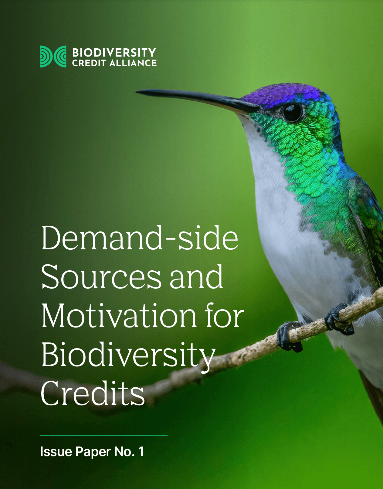 Demand-side Sources and Motivation for Biodiversity Credits