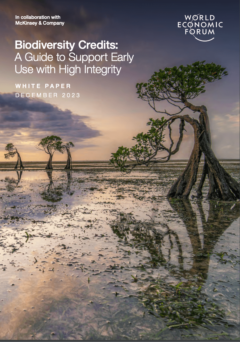 Biodiversity credits: A guide to support early use with high integrity