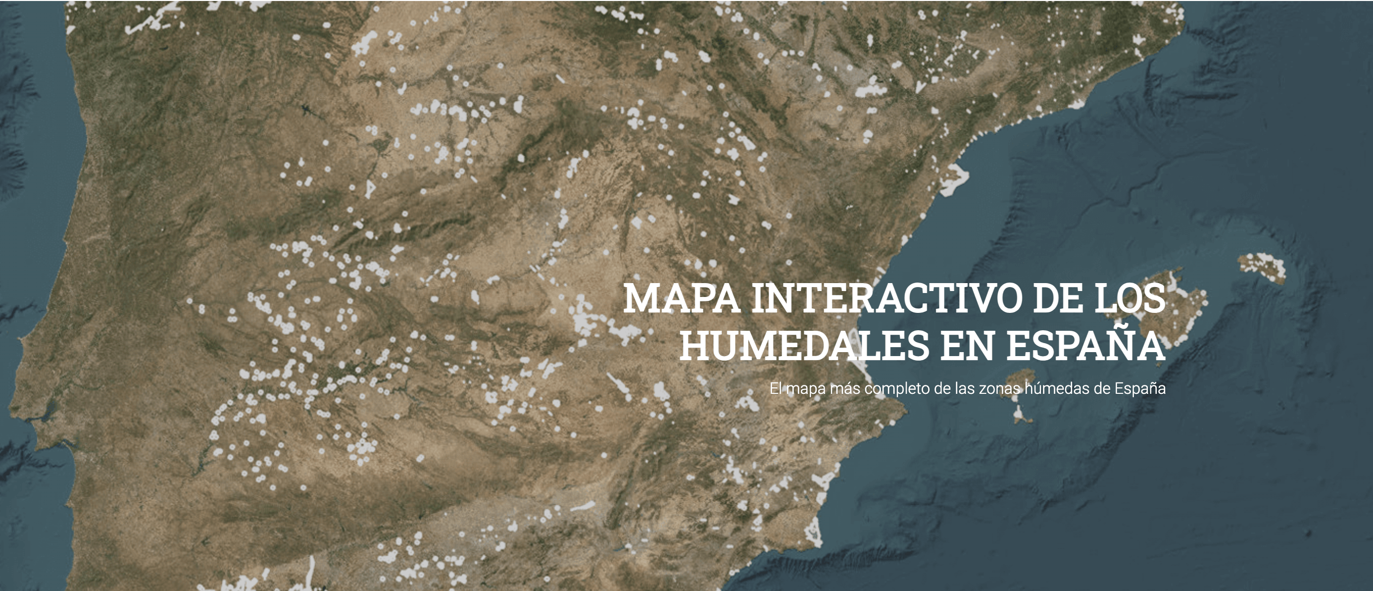 Interactive map of catalogued wetlands in Spain