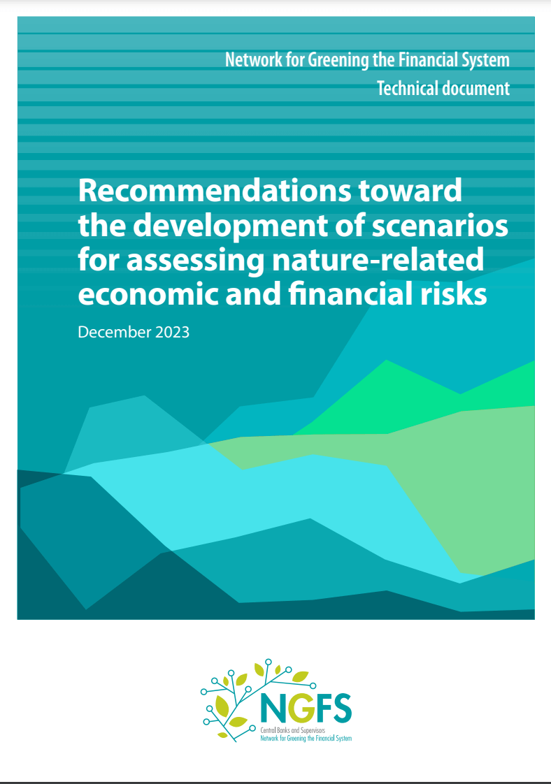 Recommendations toward the development of scenarios for assessing nature-related economic and financial risks