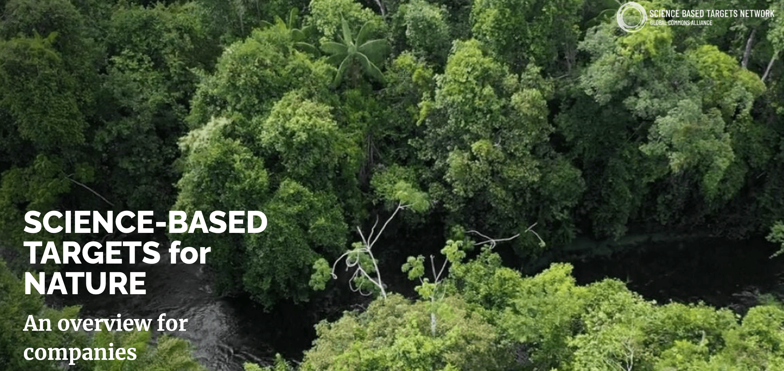 Science Based Targets for Nature. An overview for companies