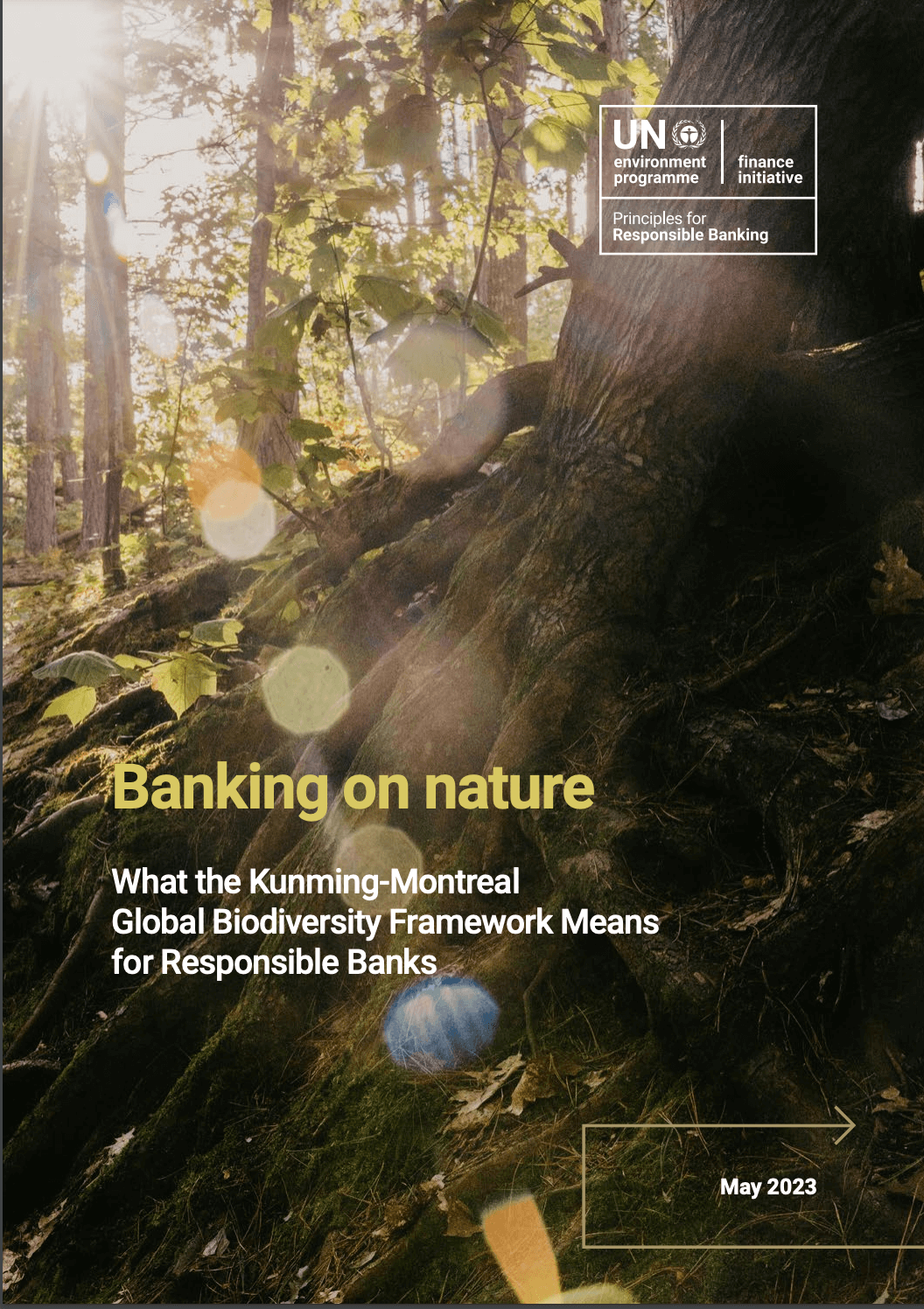 Banking on nature. What the Kunming-Montreal Global Biodiversity Framework Means for Responsible Banks