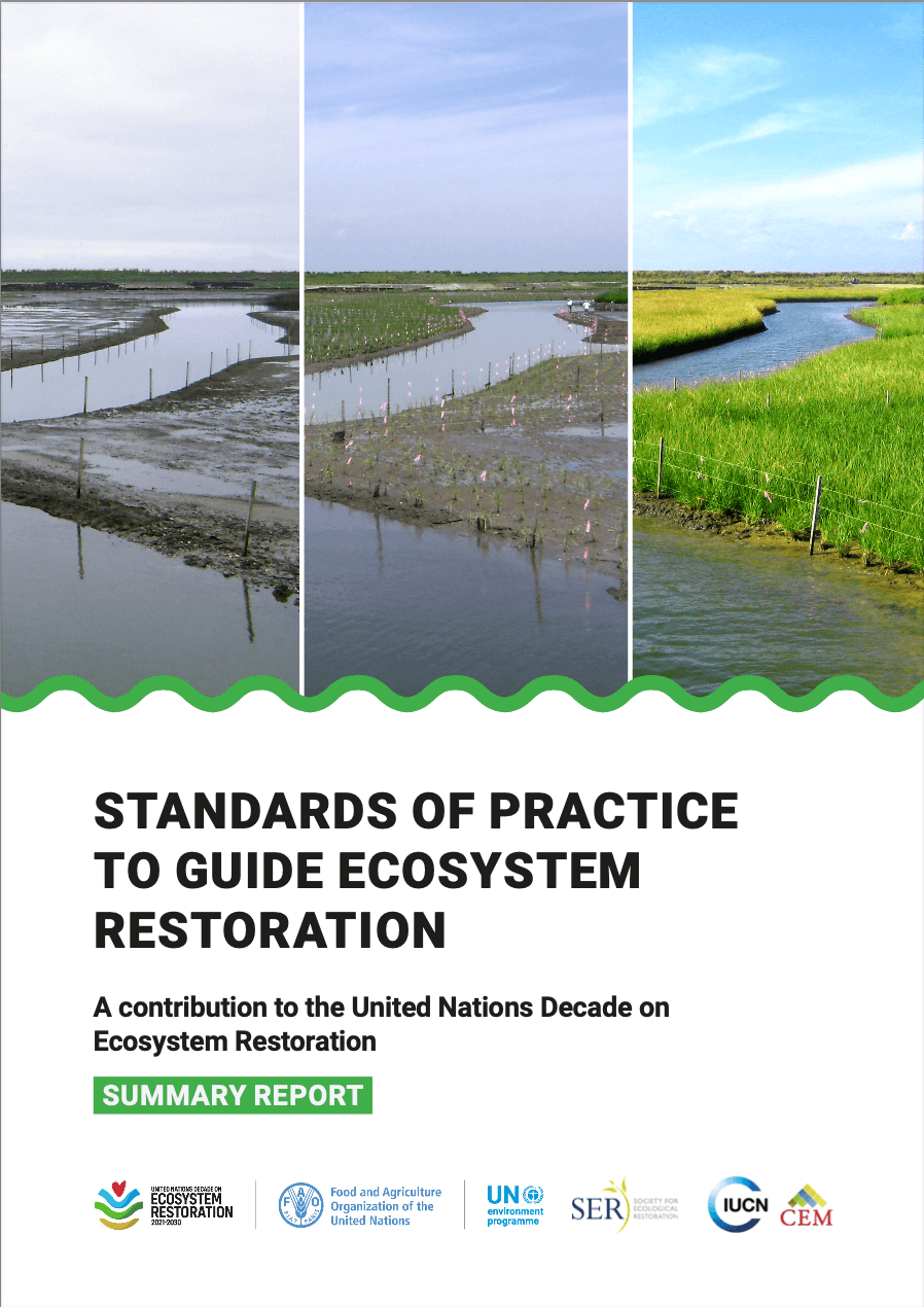 Standards of practice to guide ecosystem restoration