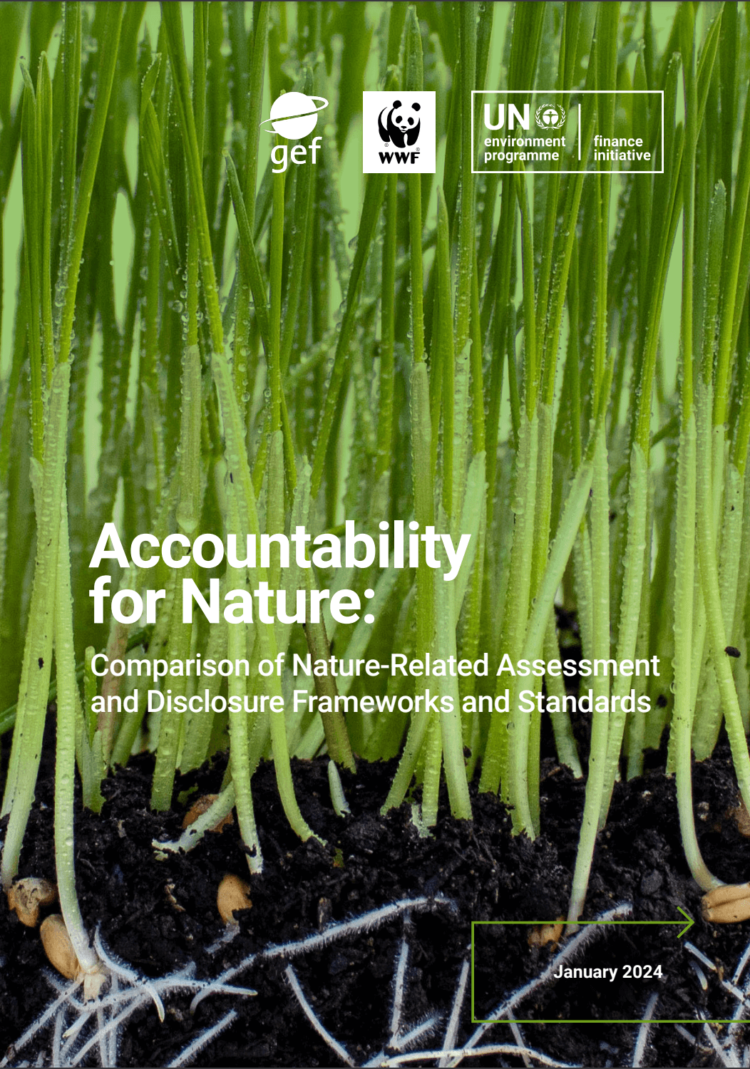 Accountability for Nature: Comparison of Nature-related Assessment and Disclosure Frameworks and Standards