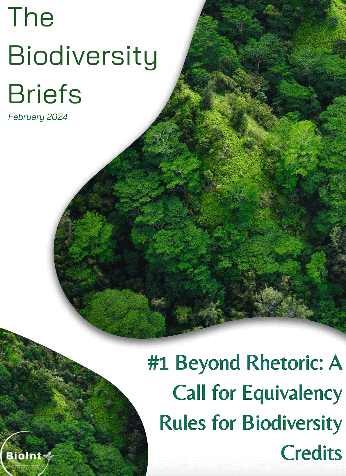 Beyond Rhetoric: A Call for Equivalency Rules for Biodiversity Credits