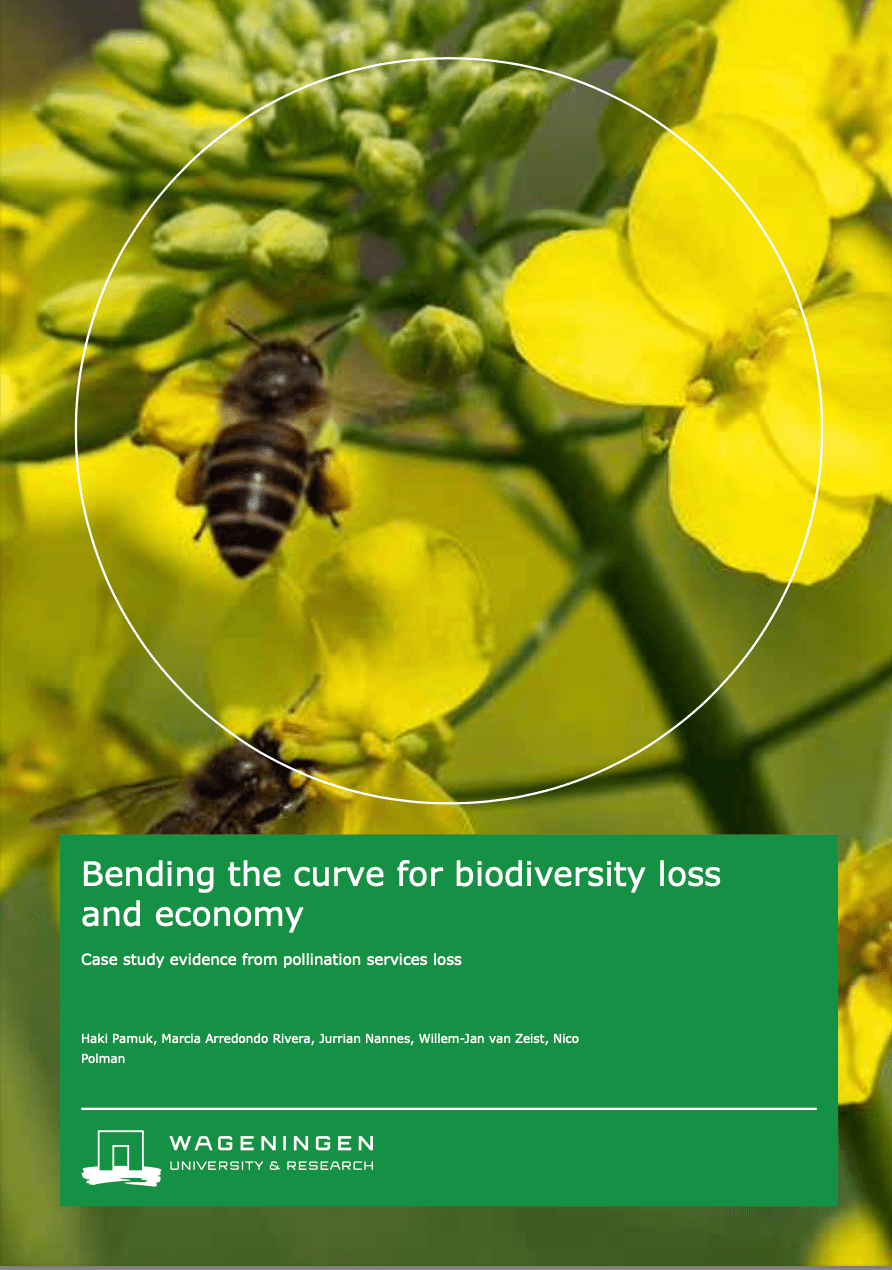 Bending the curve for biodiversity loss and economy