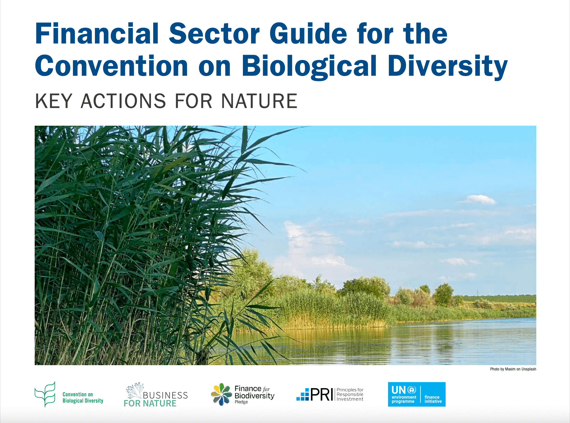 Financial Sector Guide for the Convention on Biological Diversity. Key Actions for Nature