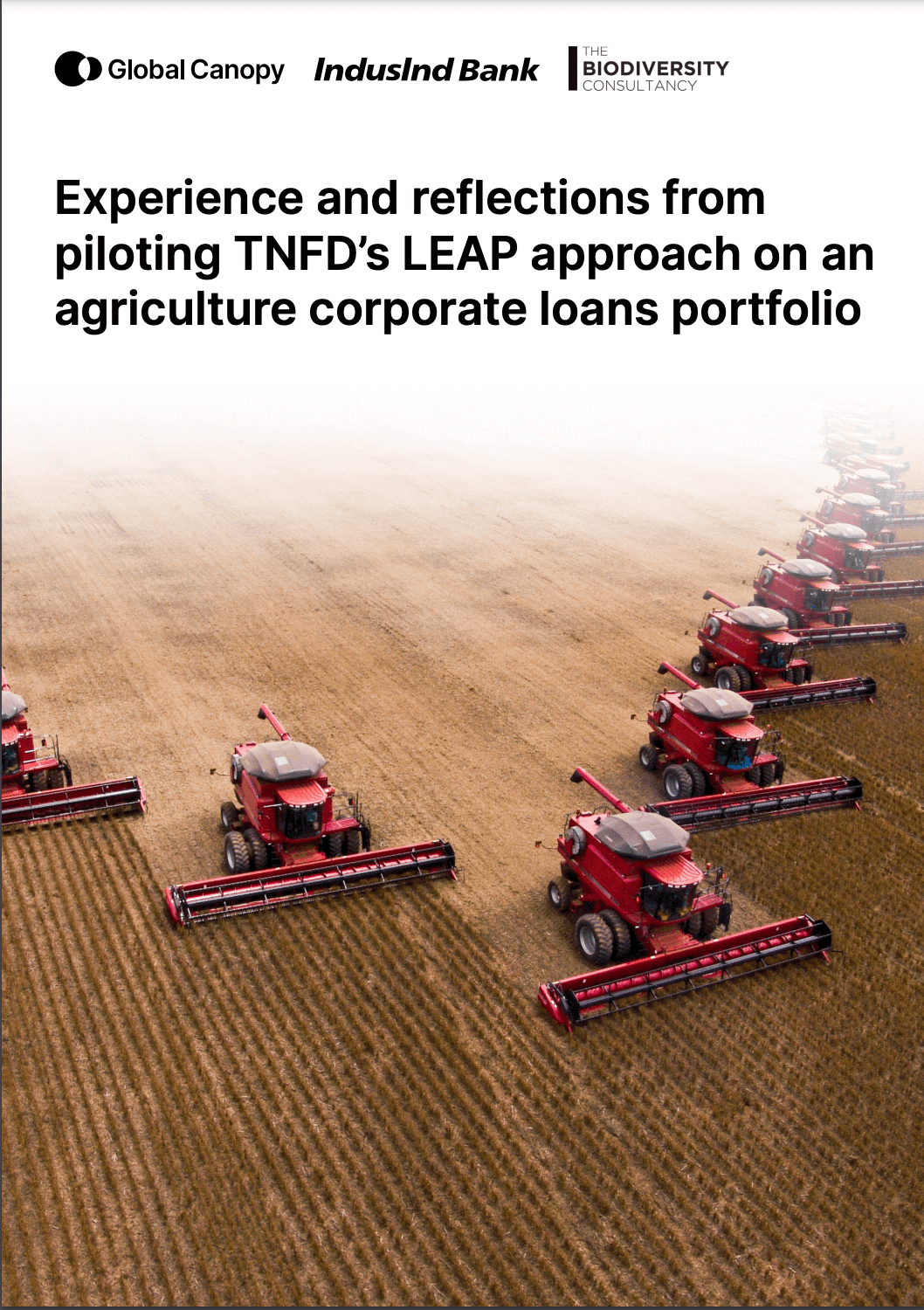 Experience and reflections from piloting TNFD’s LEAP approach on an agriculture corporate loans portfolio