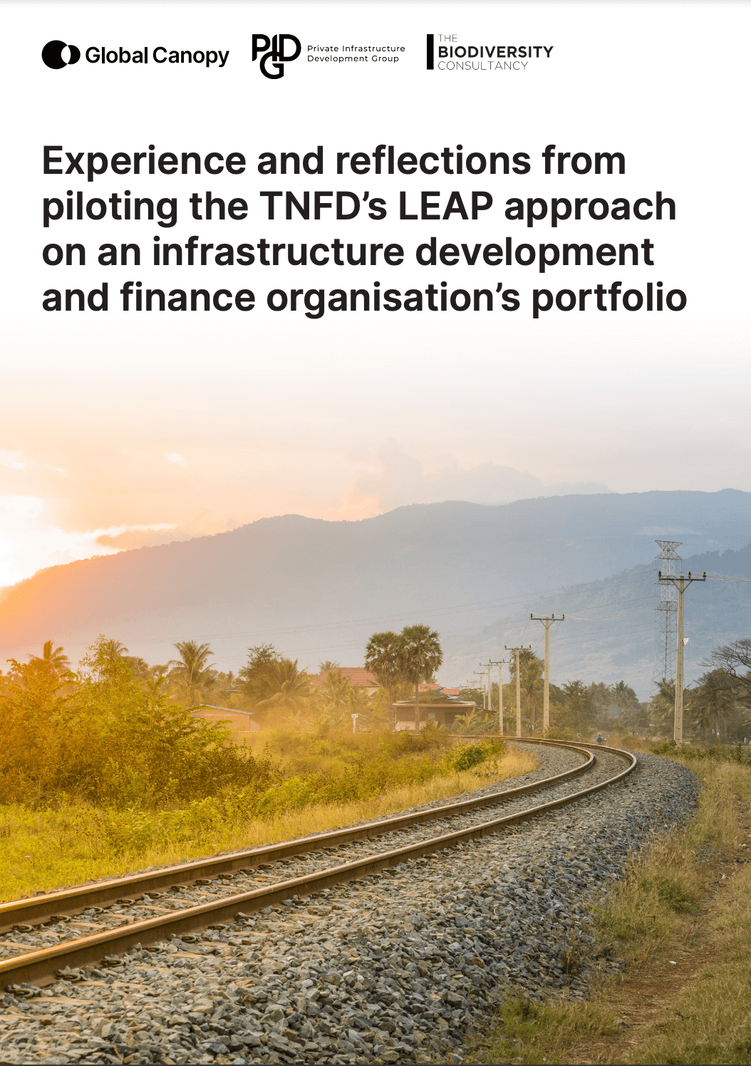 Experience and reflections from piloting the TNFD’s LEAP approach on an infrastructure development and finance organisation’s portfolio