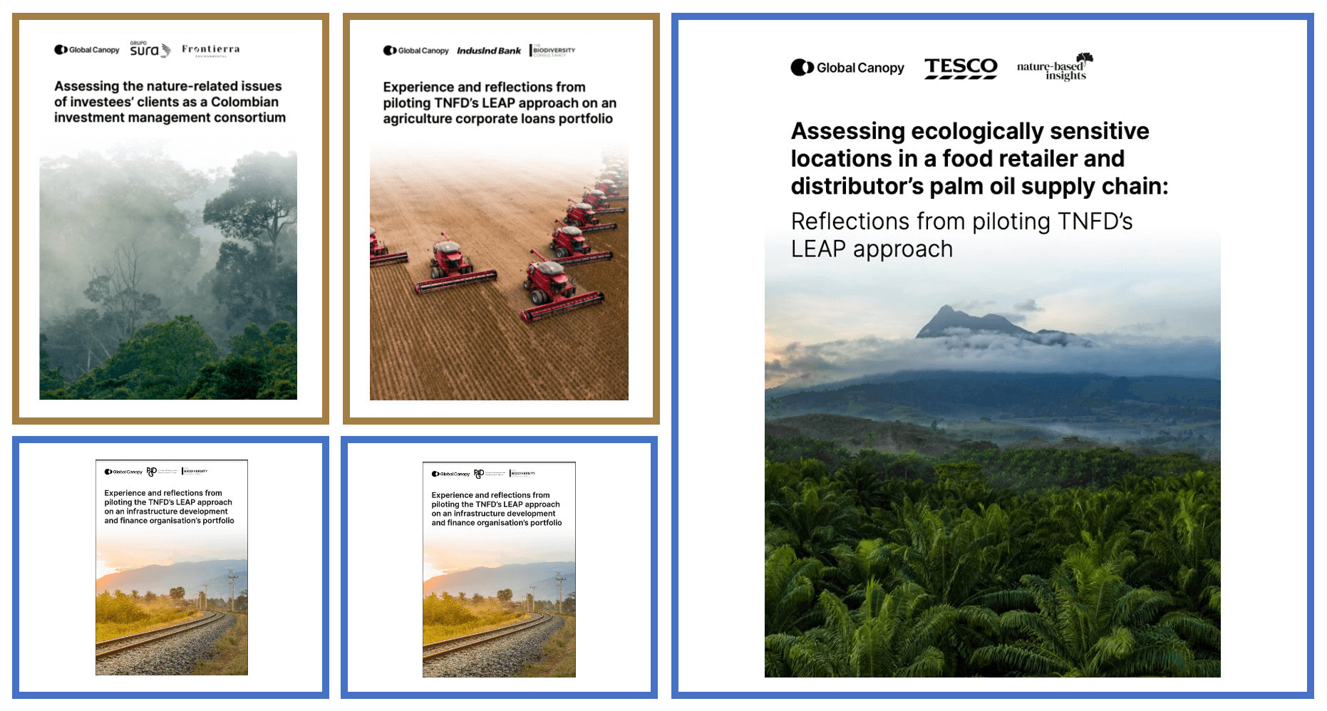 Pilots for the implementation of the TNFD LEAP approach in finance, infrastructure and the food sector