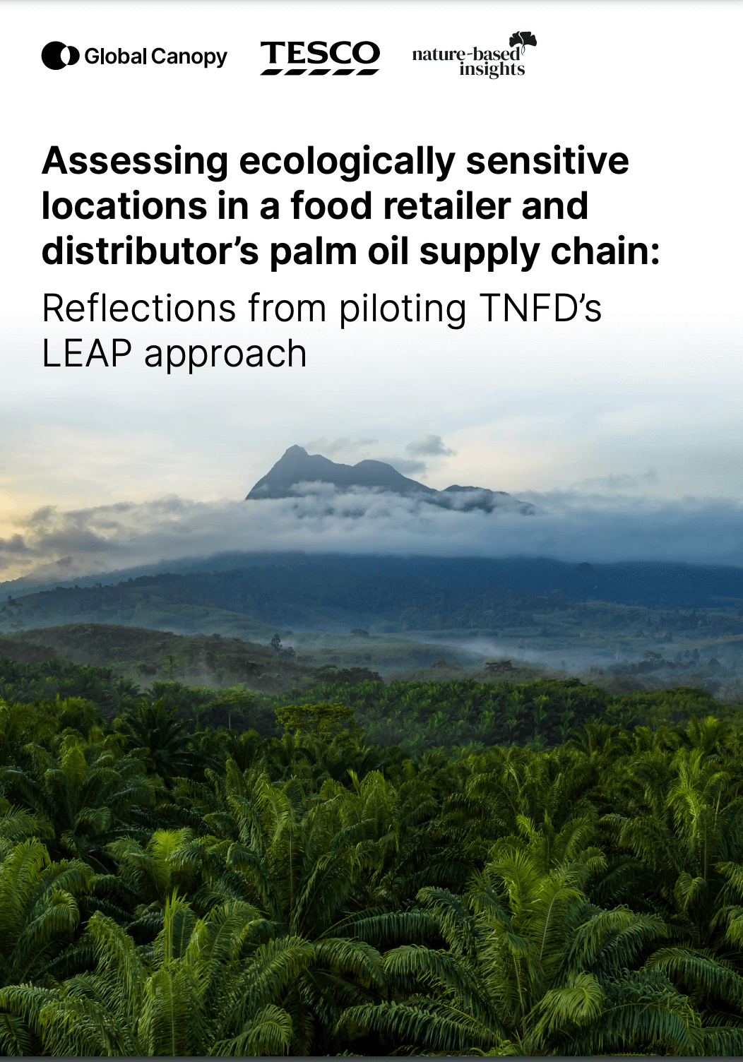 Tesco TNFD case study: Palm oil traceability and determining priority sourcing locations in Indonesia