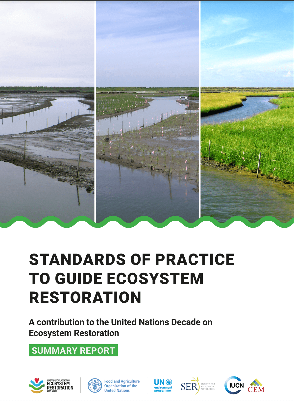 Standards of practice to guide ecosystem restoration