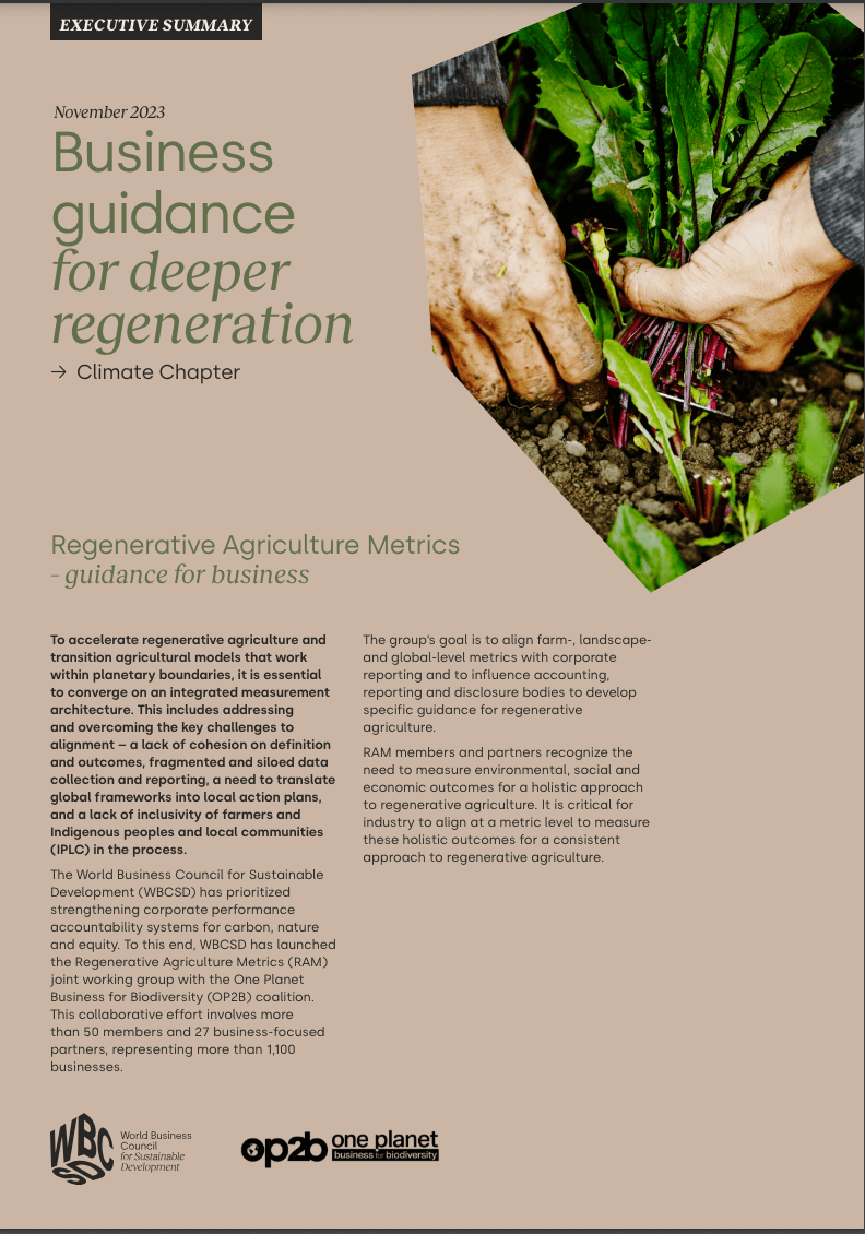 Business guidance for deeper regeneration