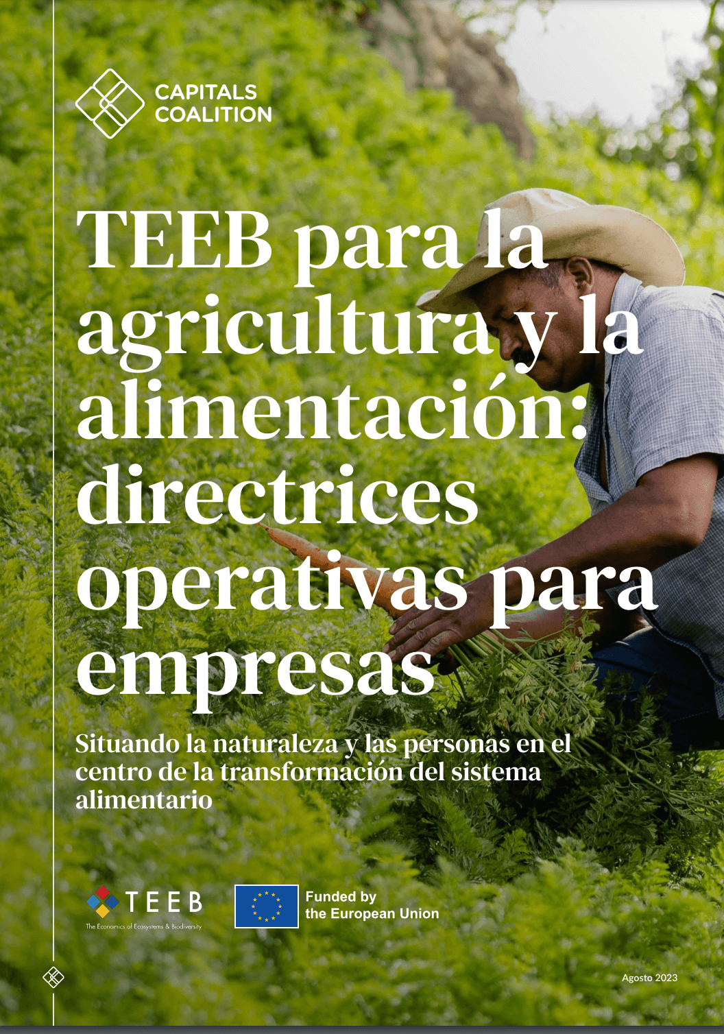 TEEB for Agriculture and Food: Operational Guidelines for Companies