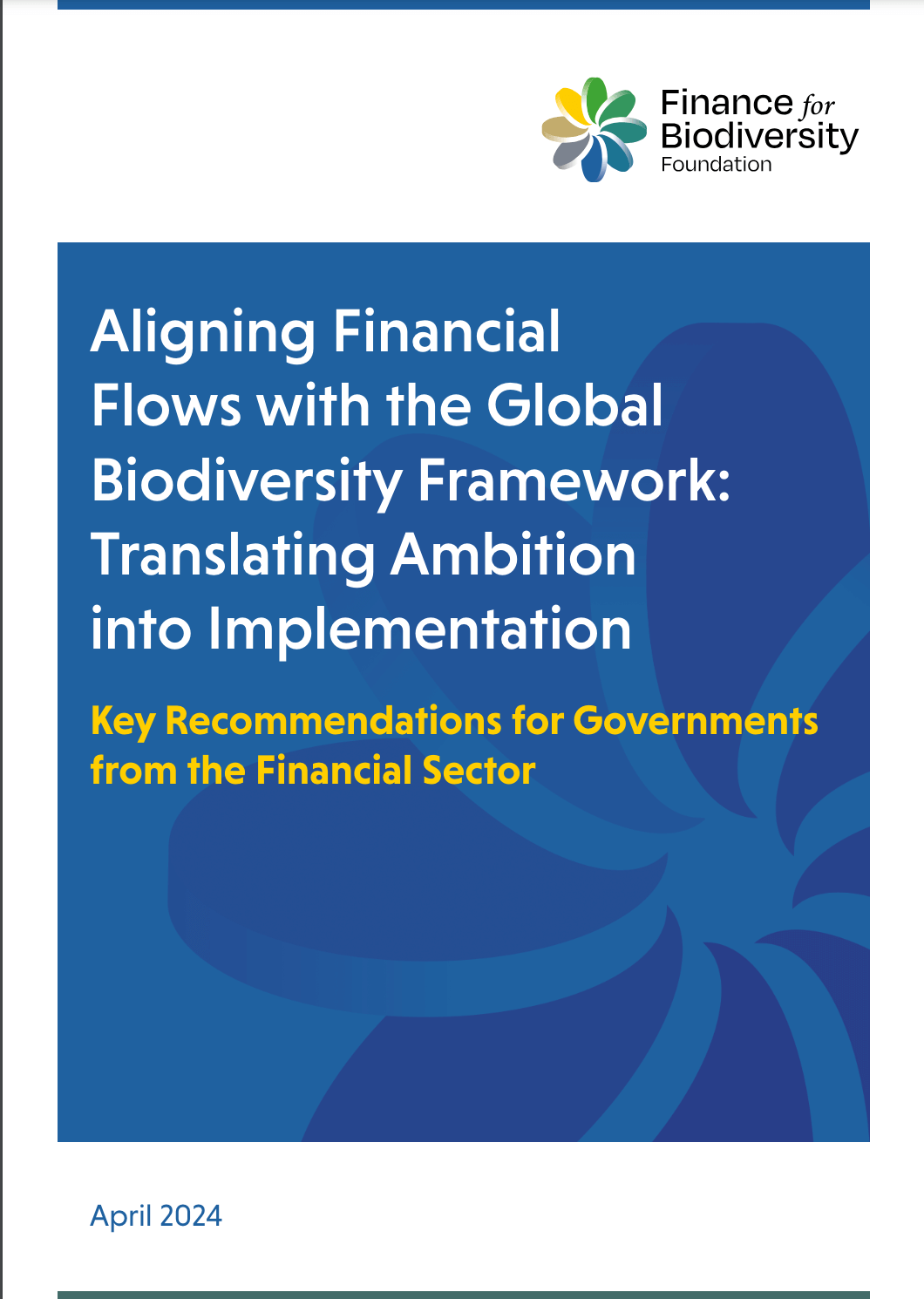 Aligning Financial Flows with the Global Biodiversity Framework: Translating Ambition into Implementation
