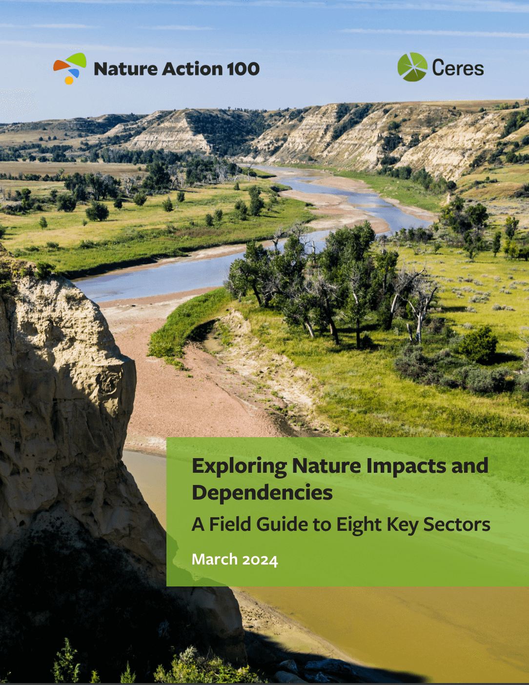 Exploring Nature Impacts and Dependencies: A Field Guide to Eight Key Sectors