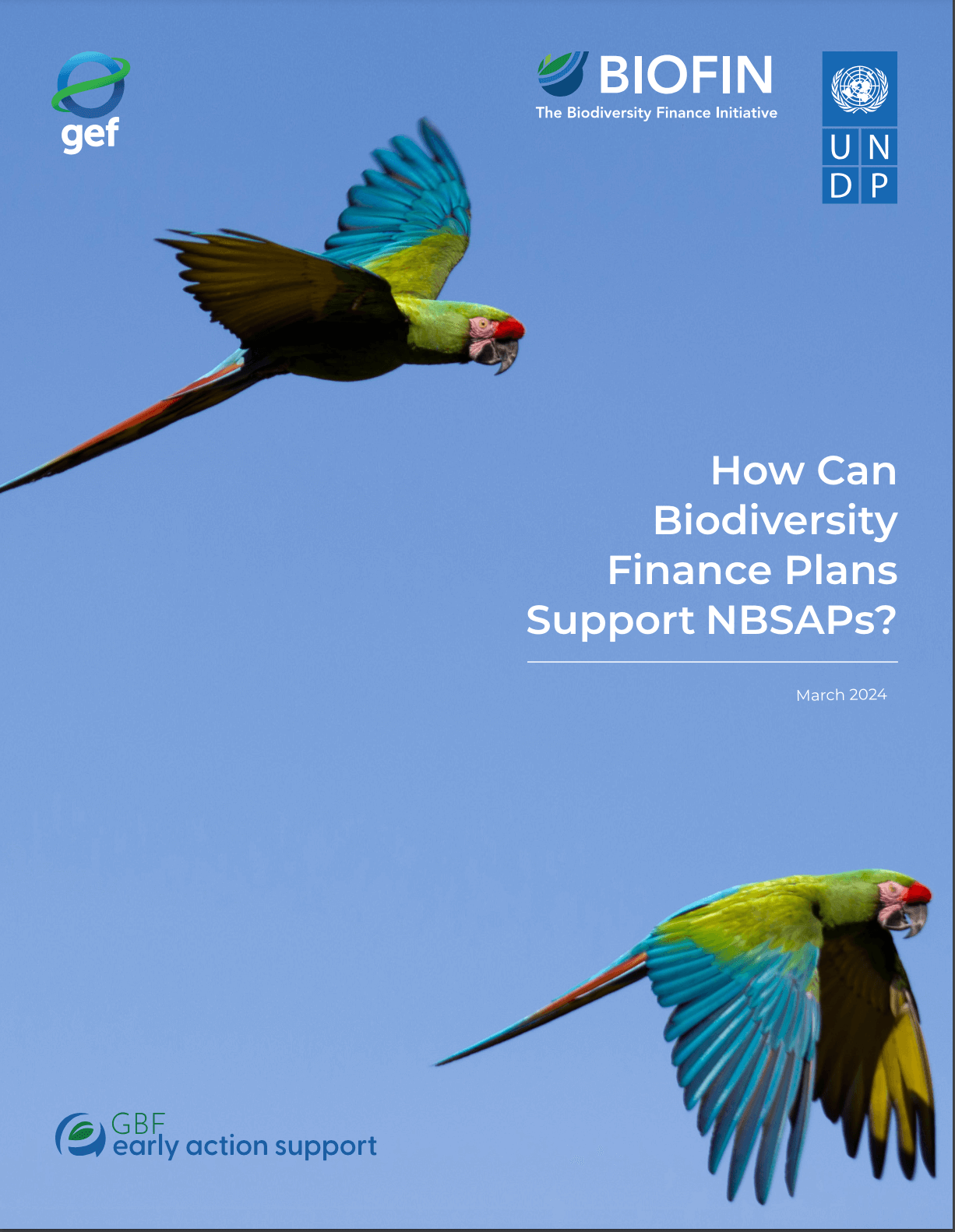 How Can Biodiversity Finance Plans Support NBSAPs?