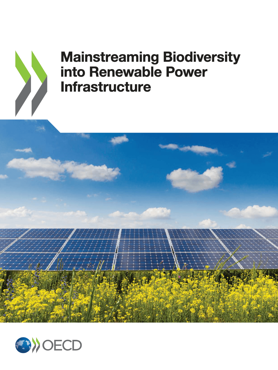 Mainstreaming Biodiversity into Renewable Power Infrastructure