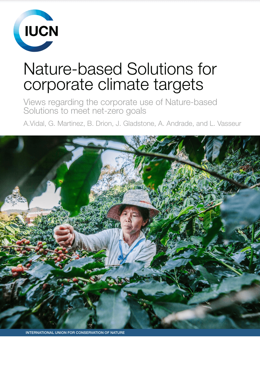 Nature-based Solutions for corporate climate targets