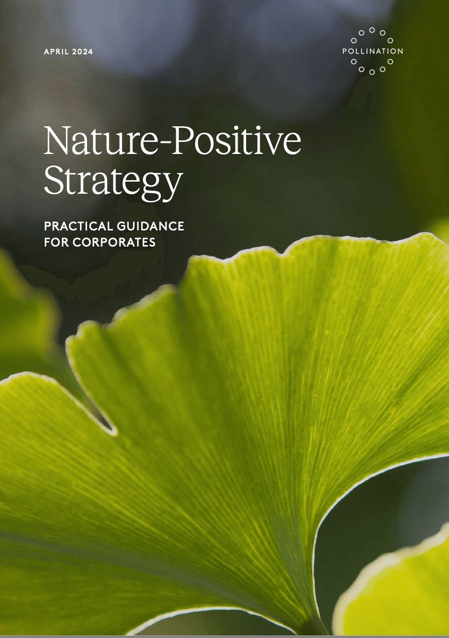 Nature-Positive Strategy. Practical Guidance for Corporates