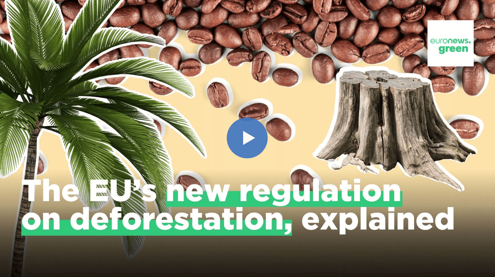 Supply chain disruptions: Are concerns about the EU’s new deforestation regulation justified?