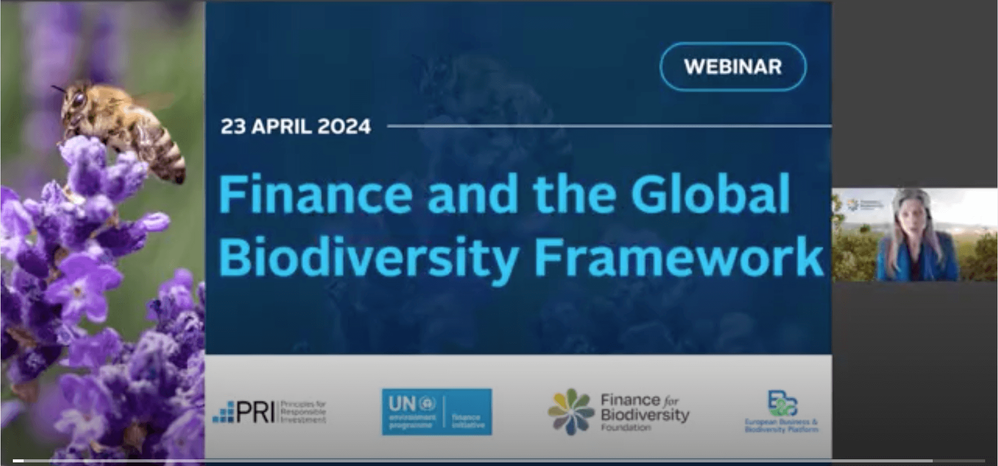 Finance and the Global Biodiversity Framework: navigating the road to COP16