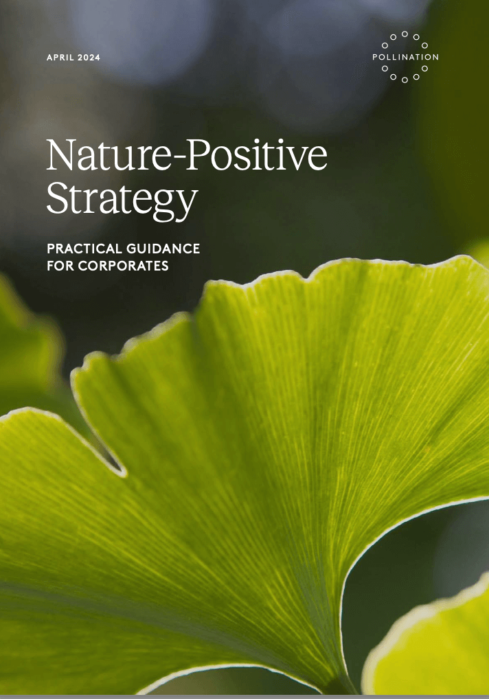 Nature-Positive Strategy. Practical Guidance for Corporates
