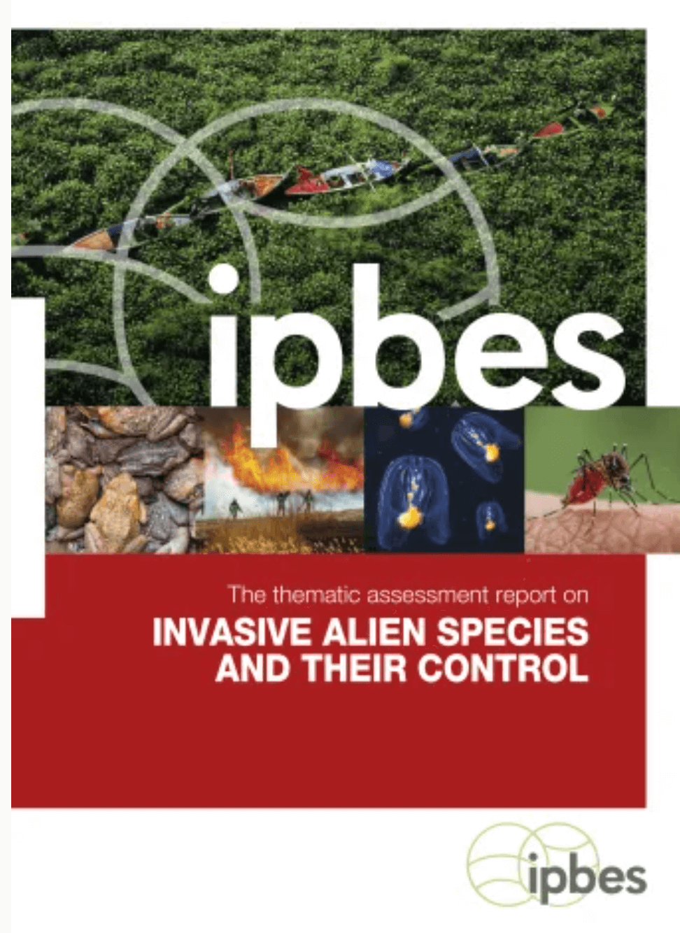 Interactive Invasive Alien Species Report