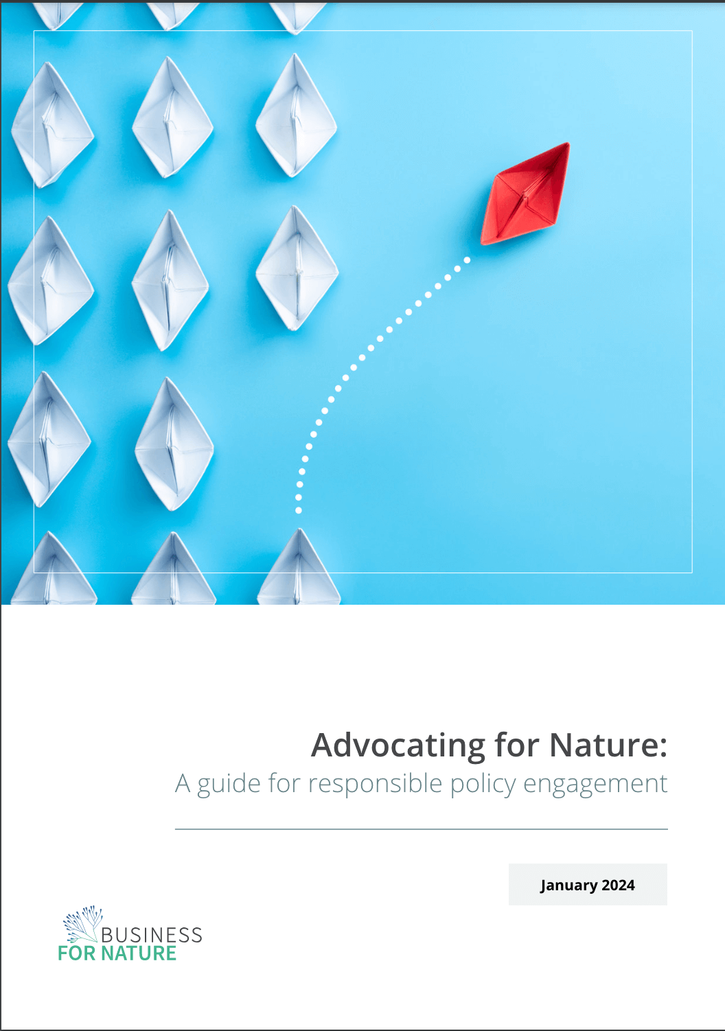 Advocating for Nature: A guide for responsible policy engagement