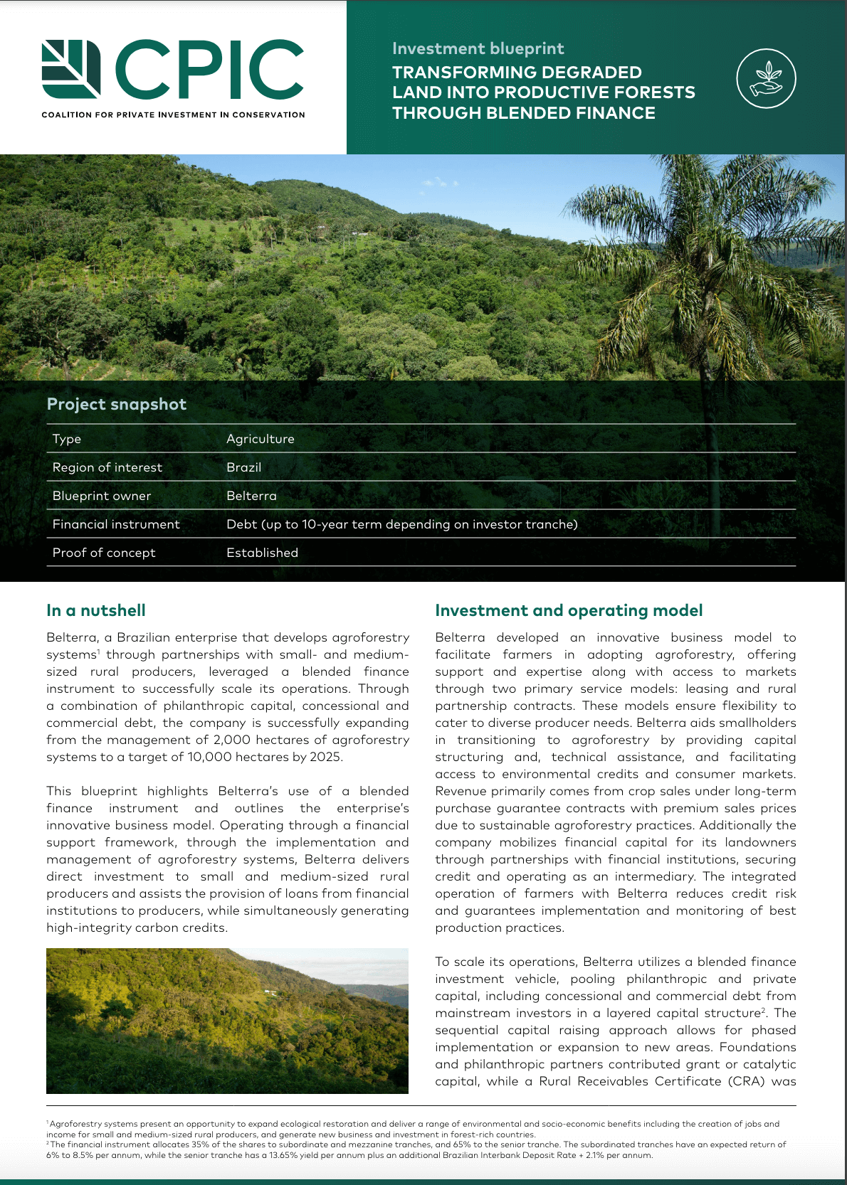 Transforming degraded land into productive forests through blended finance in Brazil