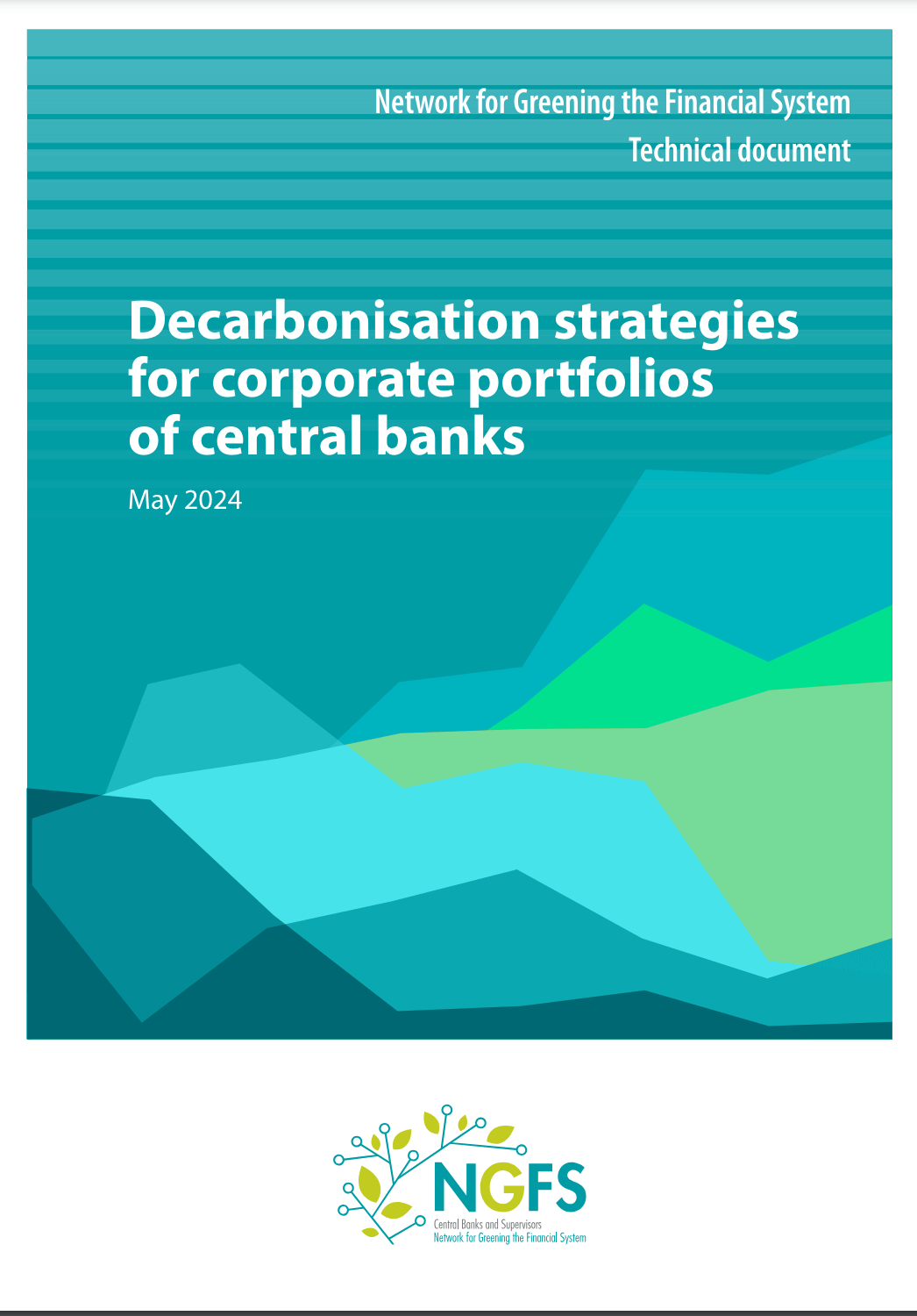 Decarbonisation strategies for corporate portfolios of central banks
