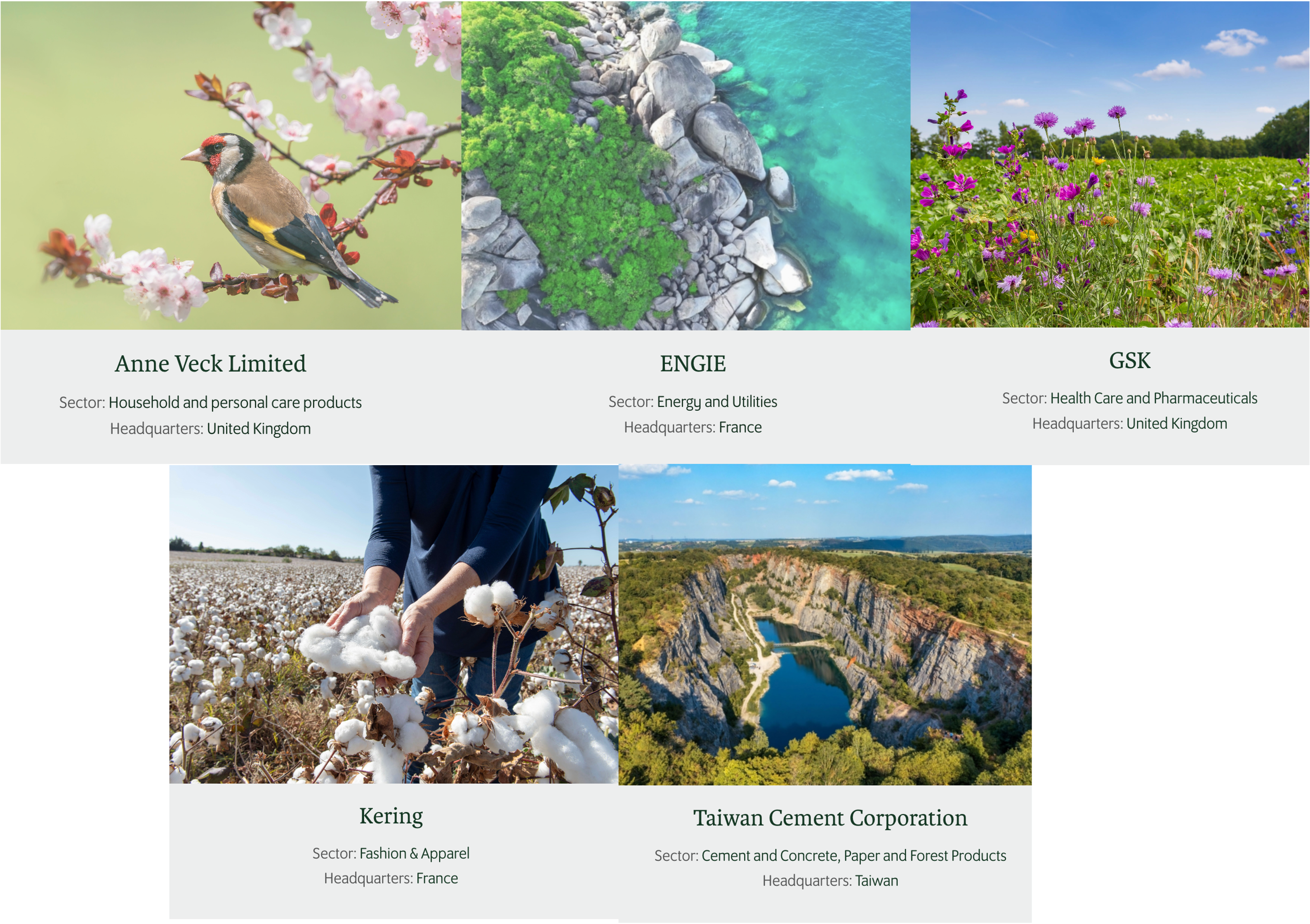 “It’s Now for Nature”: First Nature Strategy Manuals published