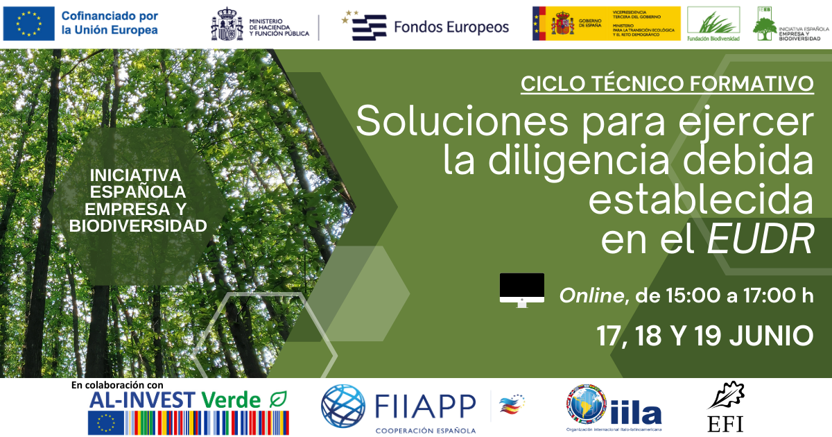Materials of the Technical Training Cycle “Solutions to exercise the due diligence established in the EUDR”