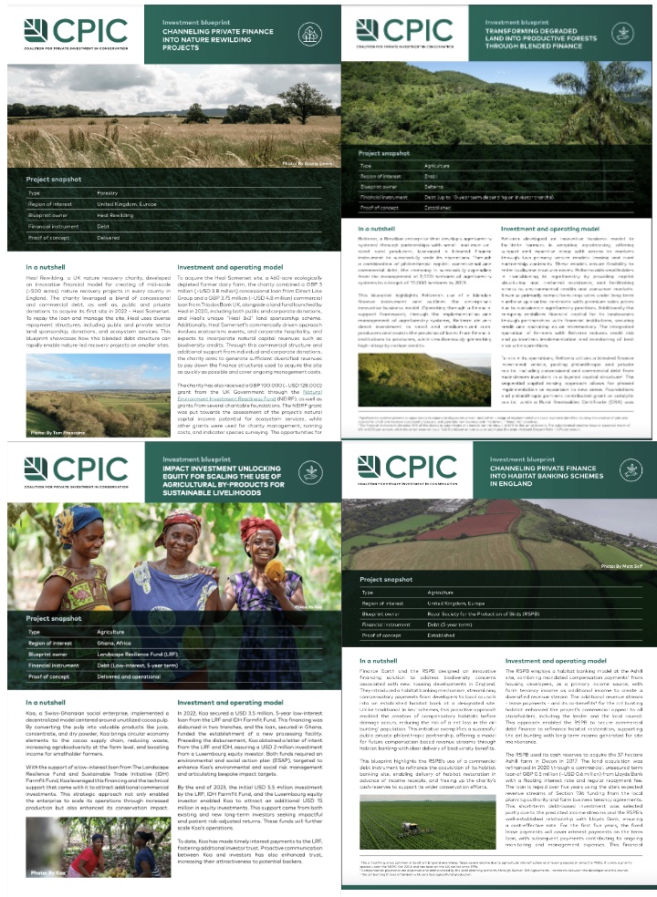 New CPIC Conservation Investment Blueprints: A look a success cases of channeling private finance into agriculture and forestry projects