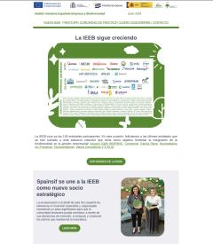 Boletín n.º 8. La biodiversidad gana terreno en la información no financiera