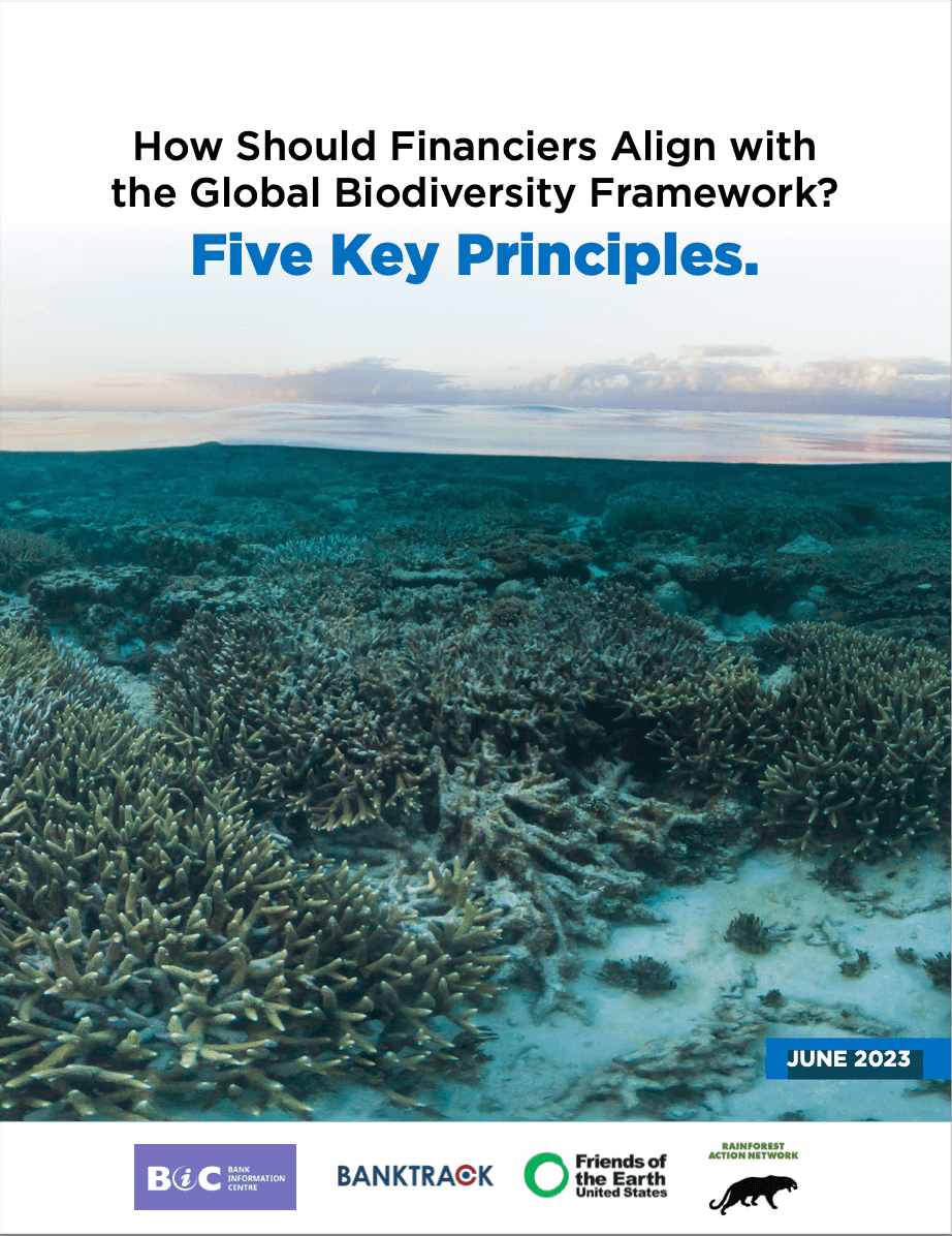 How Should Financiers Align with the Global Biodiversity Framework? Five Key Principles