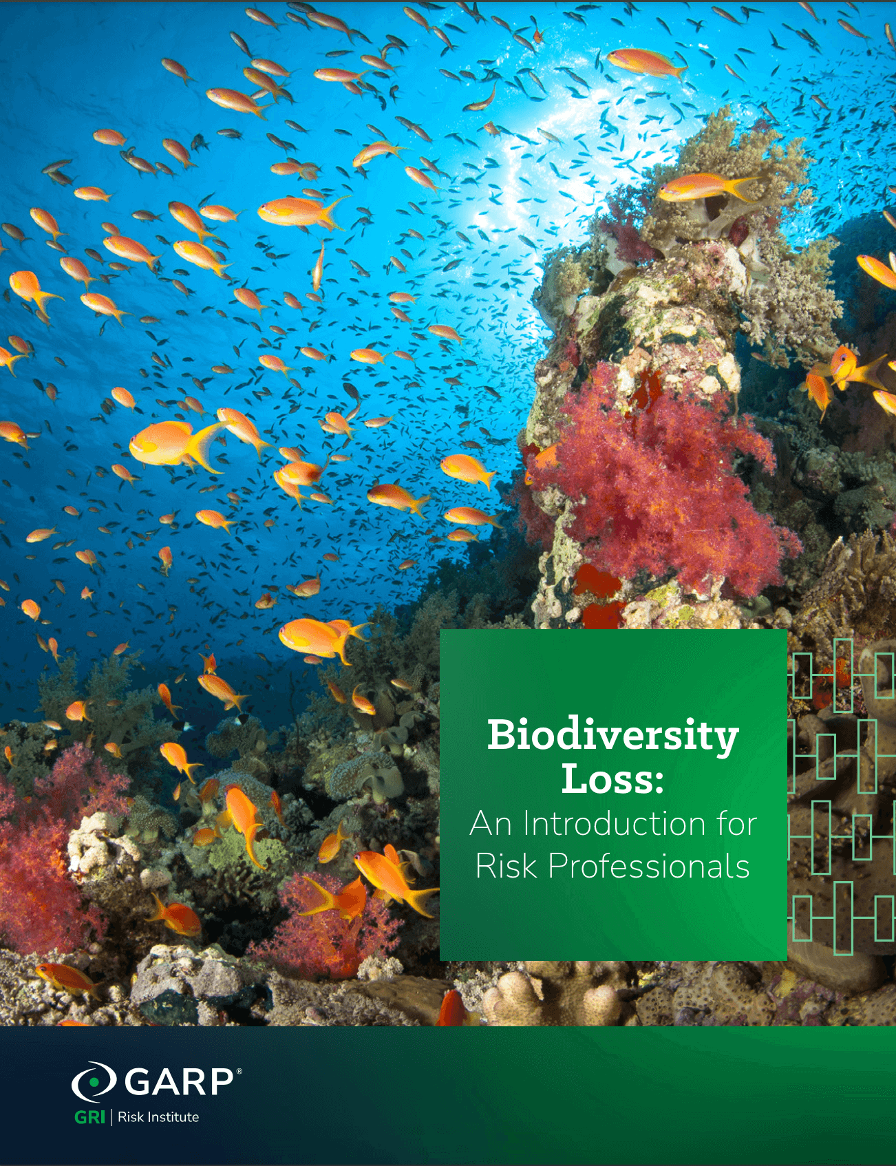 Biodiversity Loss: An Introduction for Risk Professionals