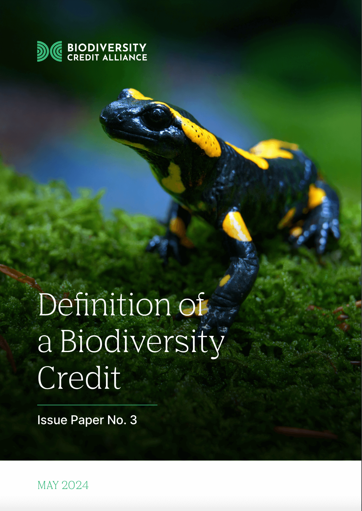 Definition of a biodiversity credit. Issue Paper 3