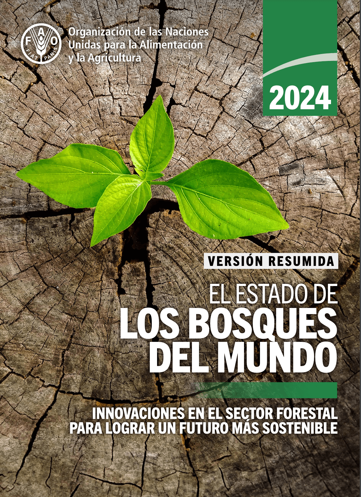 The State of the World’s Forests 2024