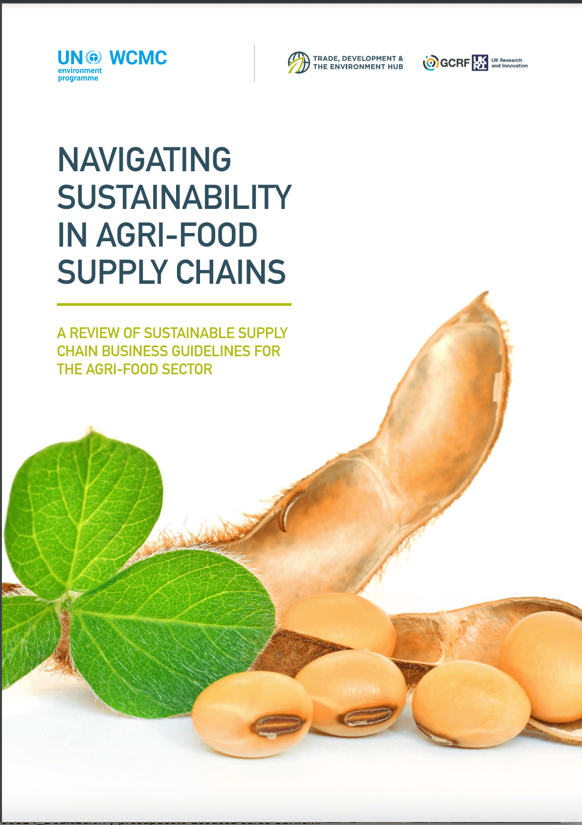 Navigating sustainability in agri-food supply chains. A review of sustainable supply chain business guidelines for the agri-food secto